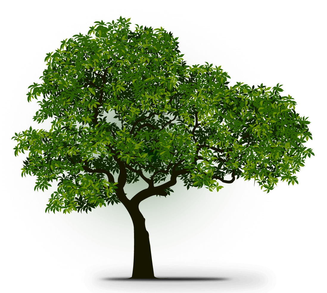 Centro de Formação Xare